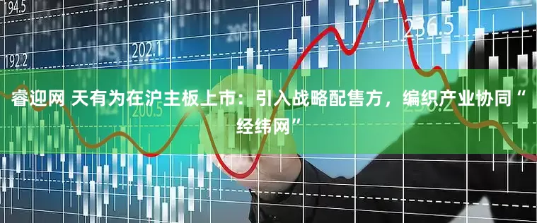 睿迎网 天有为在沪主板上市：引入战略配售方，编织产业协同“经纬网”
