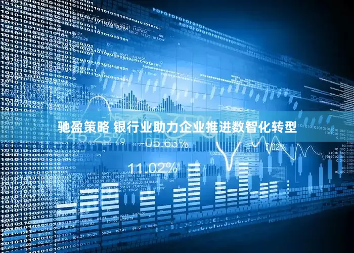 驰盈策略 银行业助力企业推进数智化转型